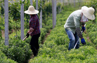 7月30日，河南省中藥材生產(chǎn)工作暨產(chǎn)業(yè)扶貧現(xiàn)場會在南陽市南召縣成功召開