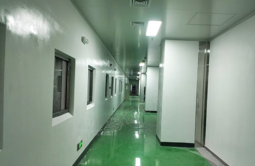 春發(fā)生物科技（寧夏）有限公司食品生產加工車間潔凈裝修施工項目6-志遠凈化工程
