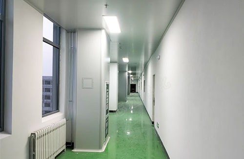 春發(fā)生物科技（寧夏）有限公司食品生產加工車間潔凈裝修施工項目7-志遠凈化工程